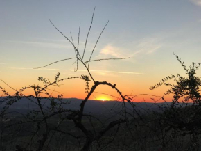 Holidays In The Heart Of Chianti